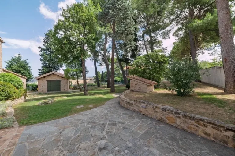 377177_lsr_2020092829664051