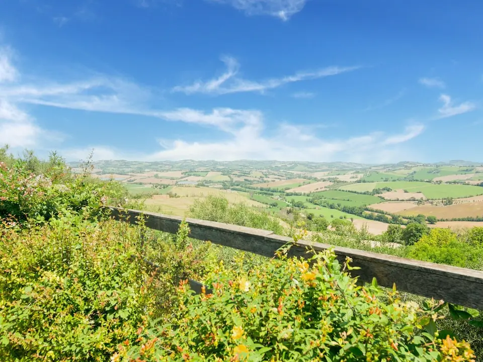 377177_lsr_2022063057656820778